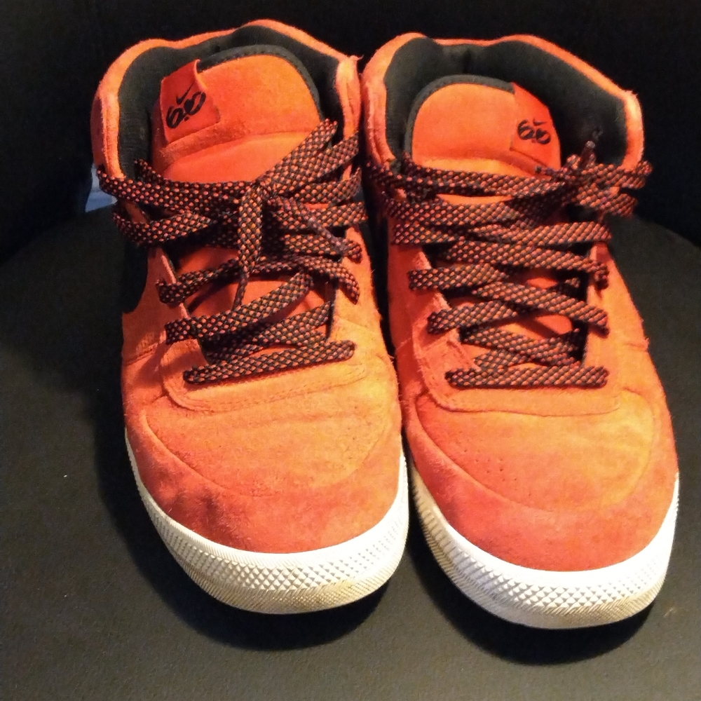 Nike SB 6.0 shoes
